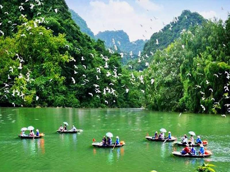 Hoa Lu - Thung Nham - Ninh Binh Private Tour 1 Day