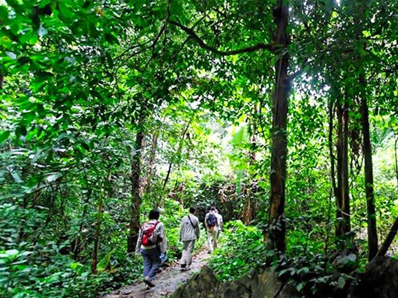 cuc-phuong-national-park-003